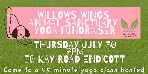 Outdoor Yoga Fundraiser for Disabled Animals
