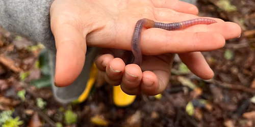 Winter Workshop: Wonderful Earthworms