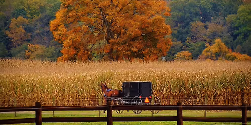 A Faith Adventure in Ohio's Amish Country