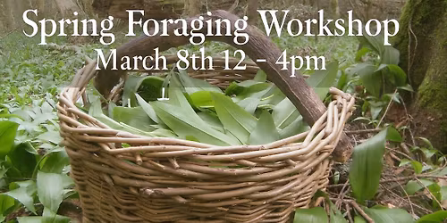 Spring Foraging Workshop