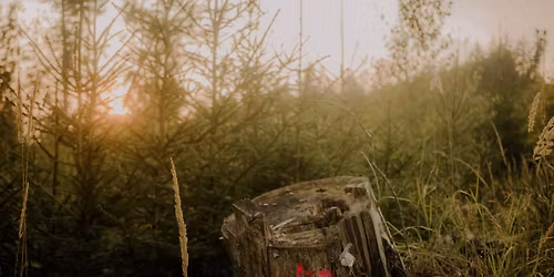 Erika M\u00e9sz\u00e1rosov\u00e1: Kucha\u0159ky, spojky a jin\u00e9 odboj\u00e1\u0159ky SNP | p\u0159edn\u00e1\u0161ka