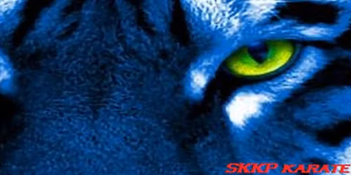 Hausner\u016fv poh\u00e1r 2026