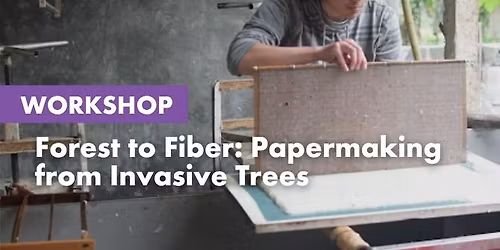 Workshop Series: Forest to Fiber - Papermaking from Invasive Trees