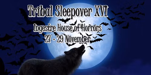 Tribal Sleepover 16 - Ingestre House of Horrors
