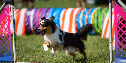 IX. Brod\u00edk\u016fv speci\u00e1l