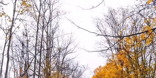 WAINFLEET HISTORICAL SOCIETY MEETING  - PRESENTATION: SECRETS OF THE SHORT HILLS