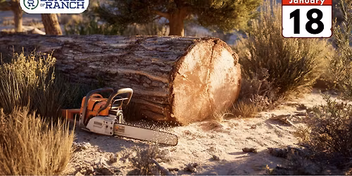 Chainsaw 101: Safety, Saws, and Your First Cut of Wood!