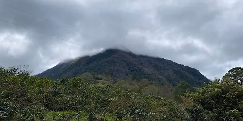 Taste of Honduras: Coffee & Culture Experience