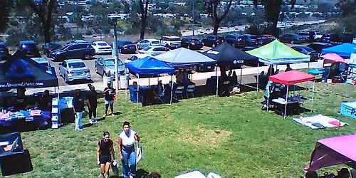 Newson Estates Community Resource Day: Vendor Registration