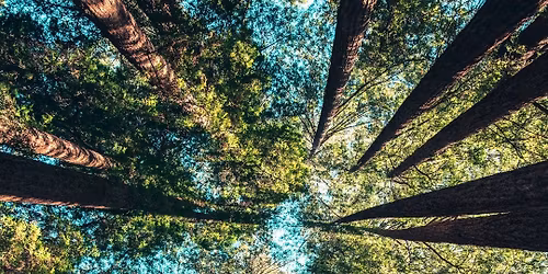 Zomerzonnewende Ritueel