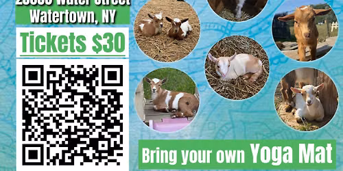 3rd Annual Goat Yoga