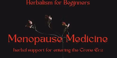 Herbalism for Beginners: Menopause Medicine