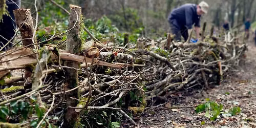 \ud83e\udeb5 Golitha Falls NNR Volunteer Task Day - Deadhedging \ud83e\udeb5