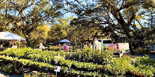 Fall Plant Market