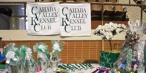 Rocket City Ratters Barn Hunt Fun Test