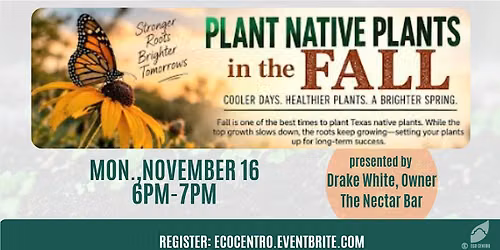 Plan and Plant Native Plants in the Fall
