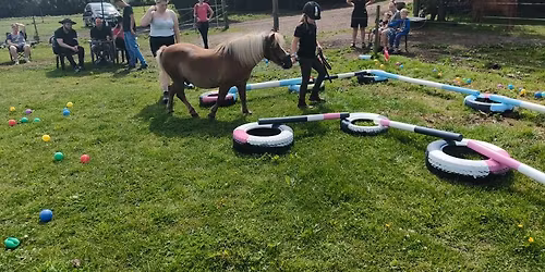Hyggeweekend med agility
