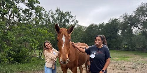 PATH Intl. Equine Specialist in Mental Health & Learning Workshop