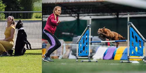 Letn\u00ed t\u00e1bor agility a dogdancingu s Hankou a K\u00e1\u0165ou ve Studenci 2026