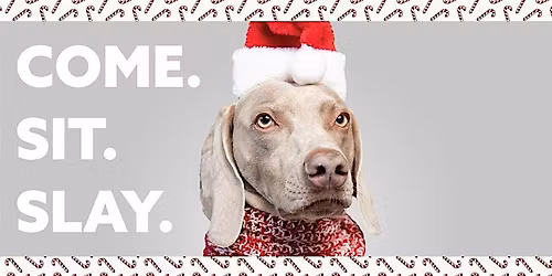 Santa Paws at Stamford Town Center