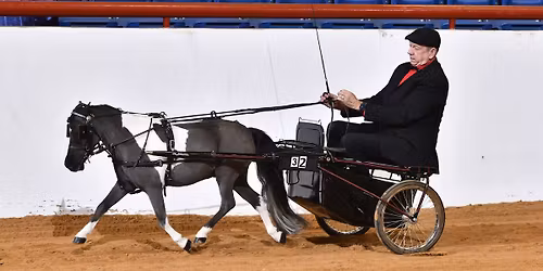 FWSSR Miniature Horse Show