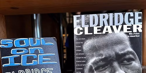 Shelf Indulgence Book Club