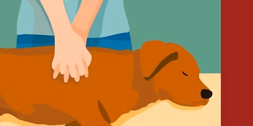 Pet First Aid & CPR Certification