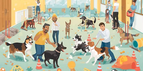 Mini - games i hundesenteret! 