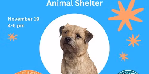 Meet Adoptable Dogs at 7 Warren