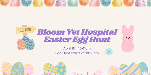 Easter Egg Hunt for Dogs at BVH!