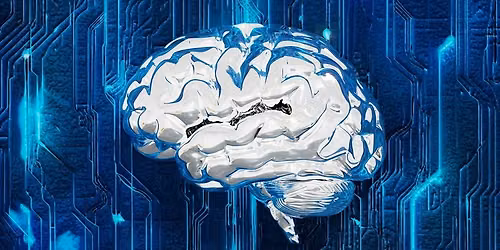 Cognitive Biases with Harel