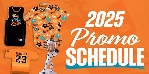 Erie SeaWolves at Chesapeake Baysox