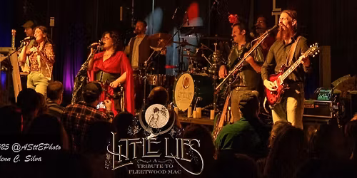 Little Lies: A Tribute to Fleetwood Mac at Towne Crier Cafe
