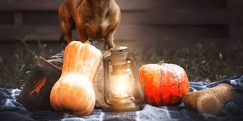 November Membership Meeting