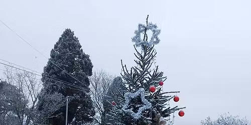 Christmas Fayre & Light Switch On!