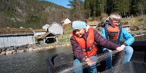 Sommarleik 2026: Aktivitetsskule for born