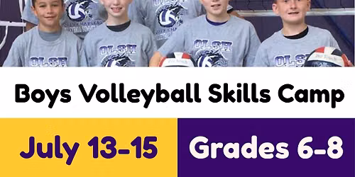 Boys Volleyball Camp