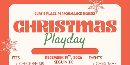 Christmas Playday 