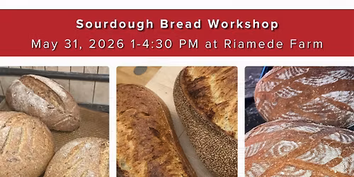 Sourdough Bread Workshop