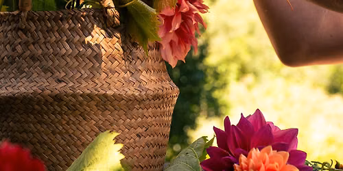 Sips & Stems: Dahlia Floral Design Class