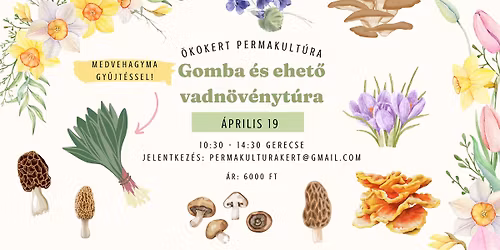 Gomba \u00e9s ehet\u0151 vadn\u00f6v\u00e9nyt\u00fara - medvehagyma gy\u0171jt\u00e9ssel