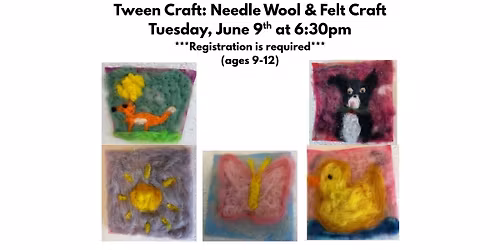 Tween Craft: Wool Needle & Felt Craft