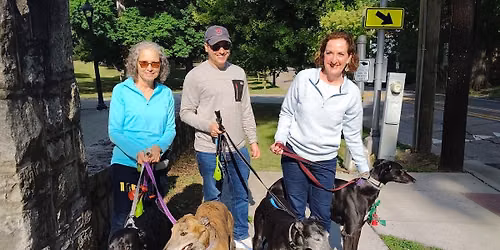 Durham Greyhound Walk