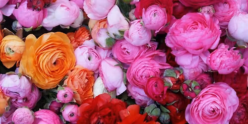 Blooms, Brews & Bay Views: Floral Design Workshop @ Pelican Brewing Co.