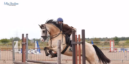 Bold Heath Winter Showing Show - Sunday 28th December