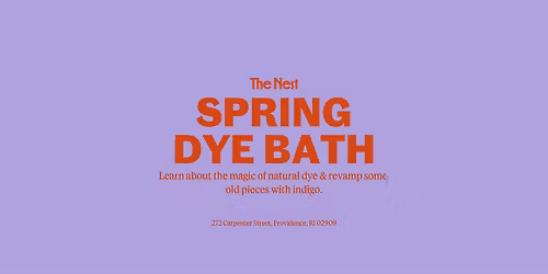 Spring Indigo Dye Bath