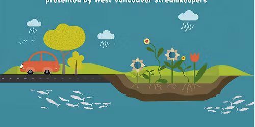RAIN GARDENS TO THE RESCUE