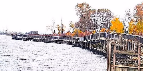 Fall Color Walk: Preserve the Preserve
