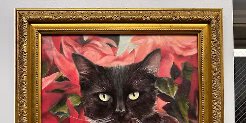 Tux the Cat Memorial \u2013 22 Years of Friendship (2004-2026)