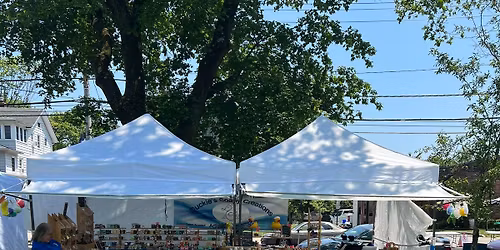 DSC@ Fair on the Green! Day 1 of 2